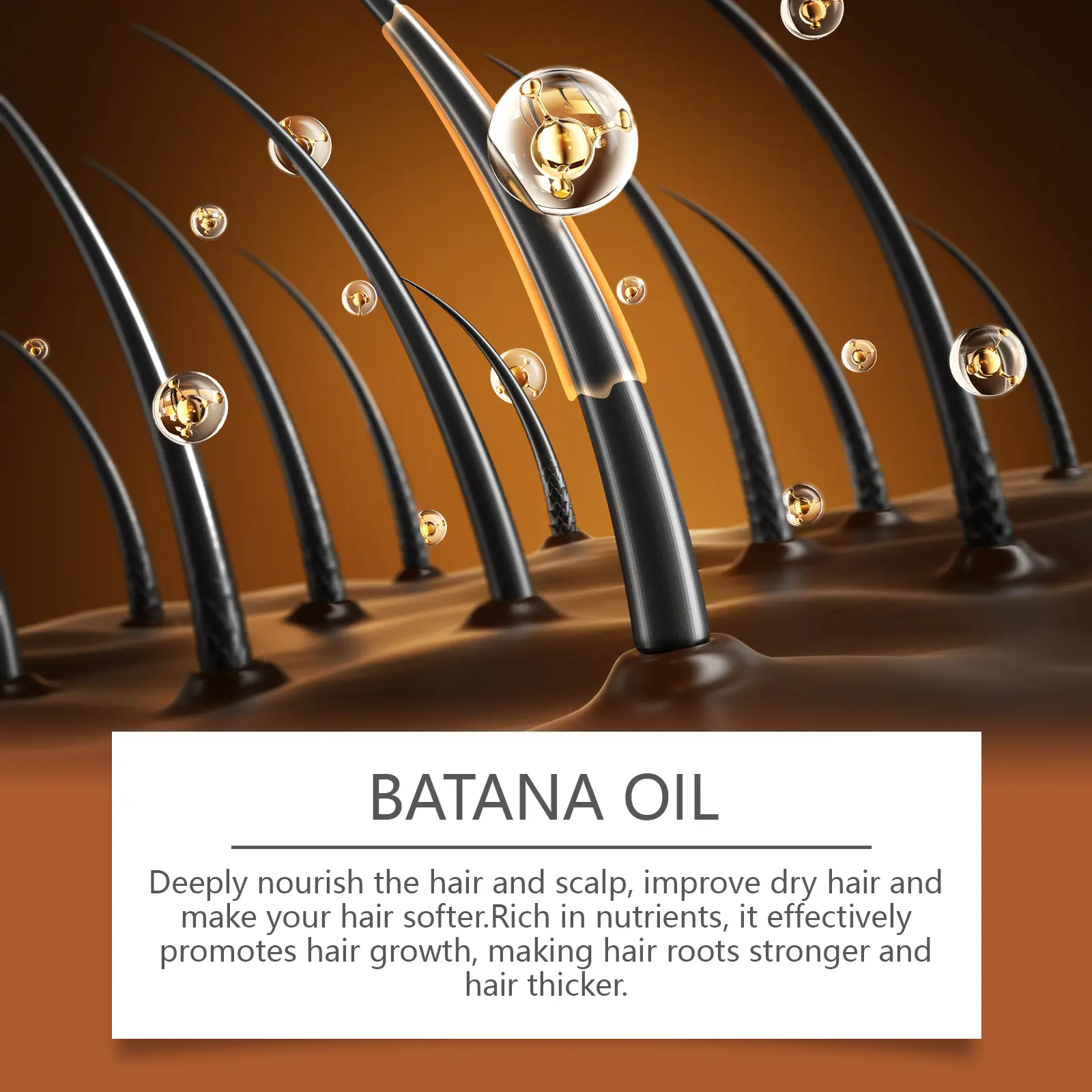Batana Oil Conditioner for Dry Hair & Frizzy Ends - West&Month 8 batana oil conditioner restore frizz nourish soften West Month 512 7830