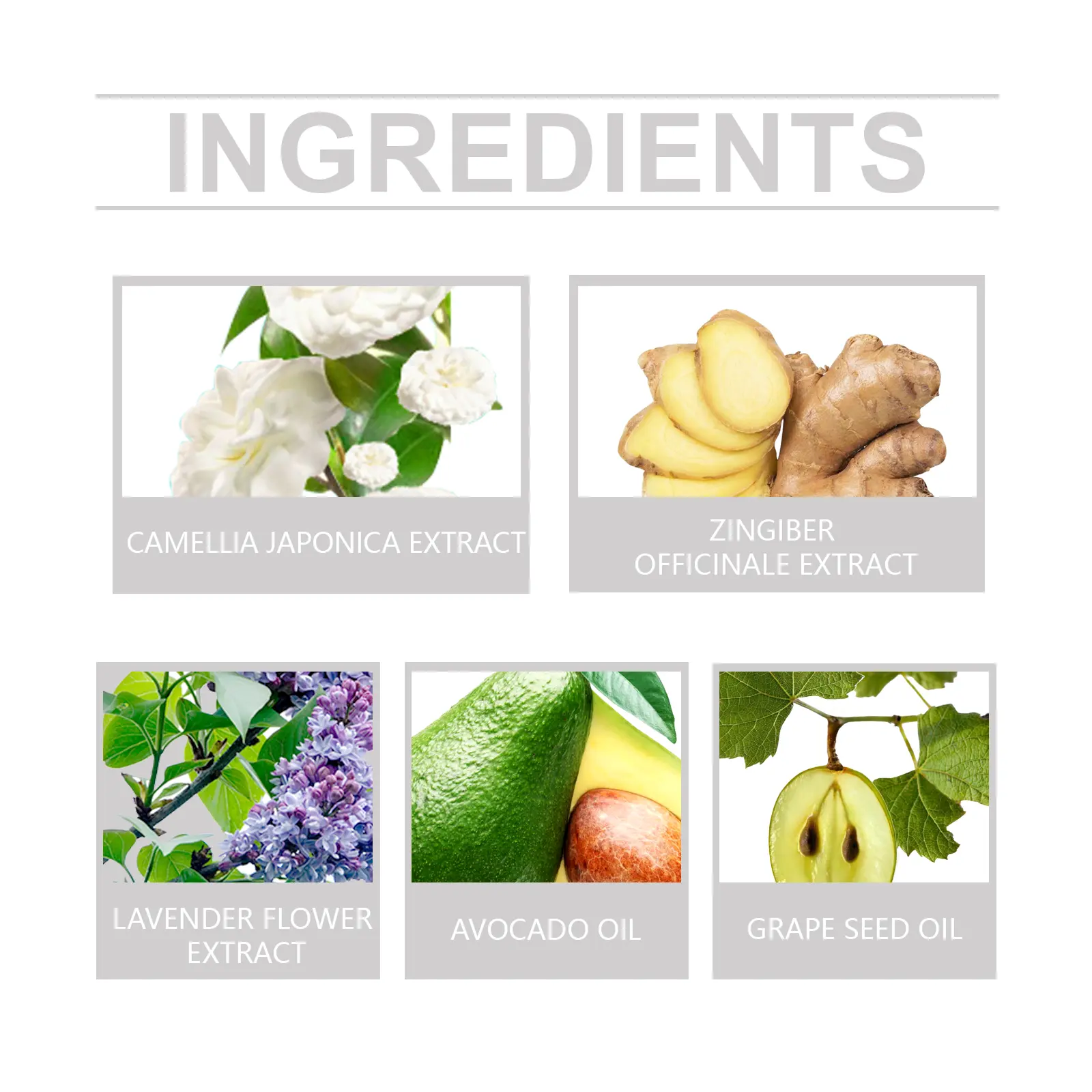 Camellia Hair Oil for Dry Hair - Nourishing & Softening - West&Month 3 camellia hair oil nourish dry soften West Month 160 3120
