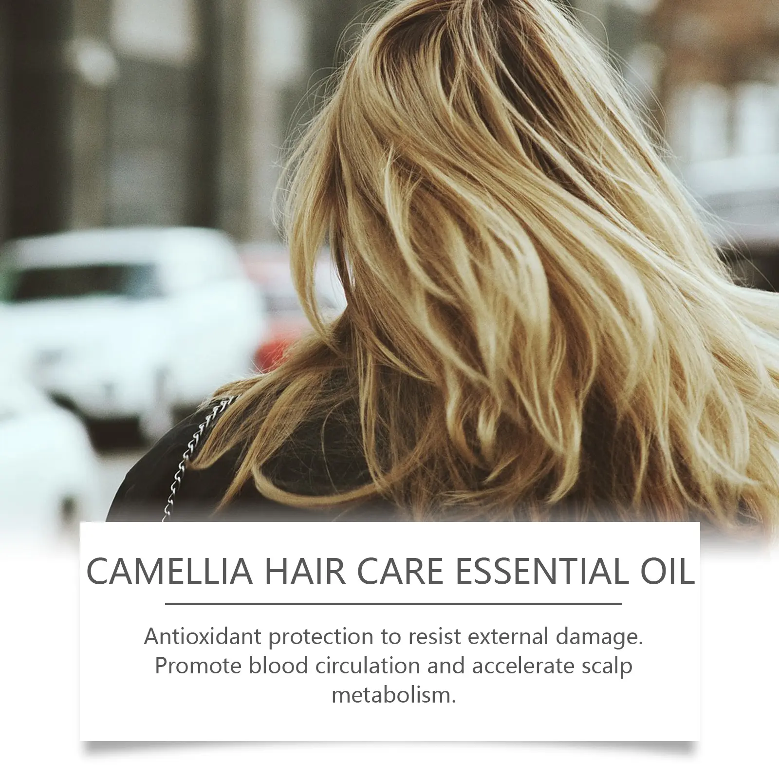 Camellia Hair Oil for Dry Hair - Nourishing & Softening - West&Month 8 camellia hair oil nourish dry soften West Month 160 3125