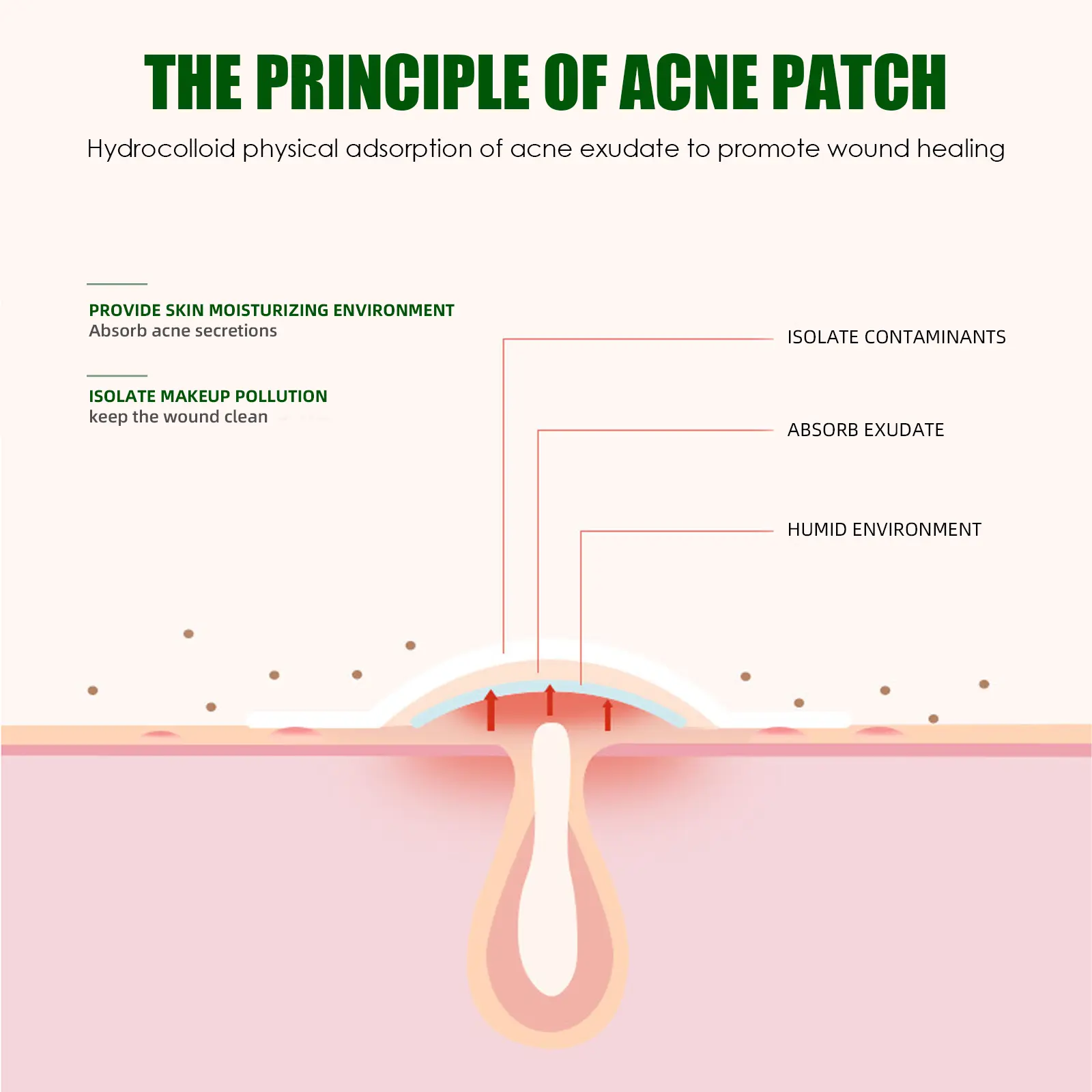Hydrocolloid Acne Patches - Invisible & Breathable (24 Count) | West&Month 5 hydrocolloid acne patches 24pcs invisible West Month 025 1428