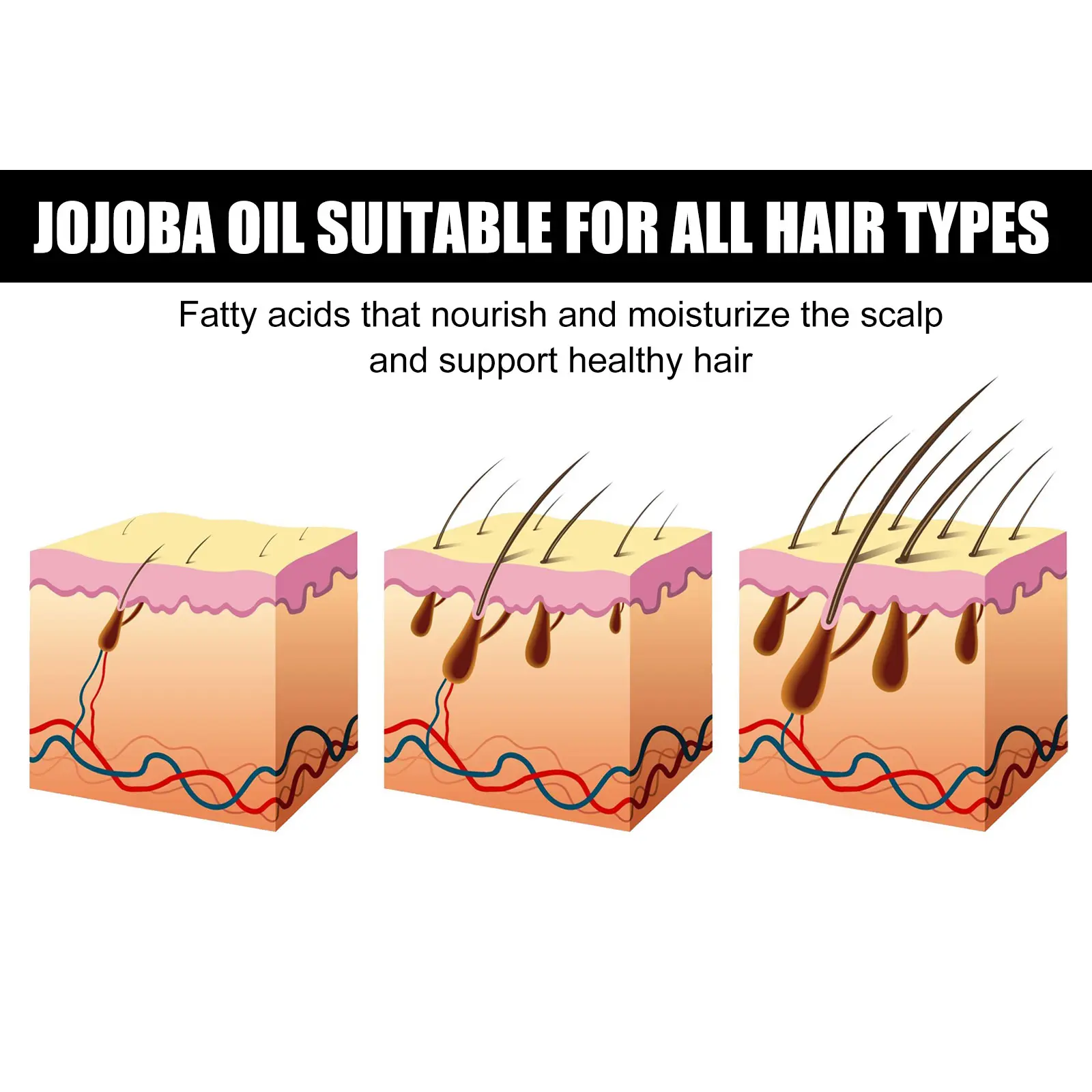 Jojoba Oil Conditioner for Dry Hair & Scalp Moisturizing - West&Month 5 jojoba oil hair conditioner moisturize scalp West Month 130 2740