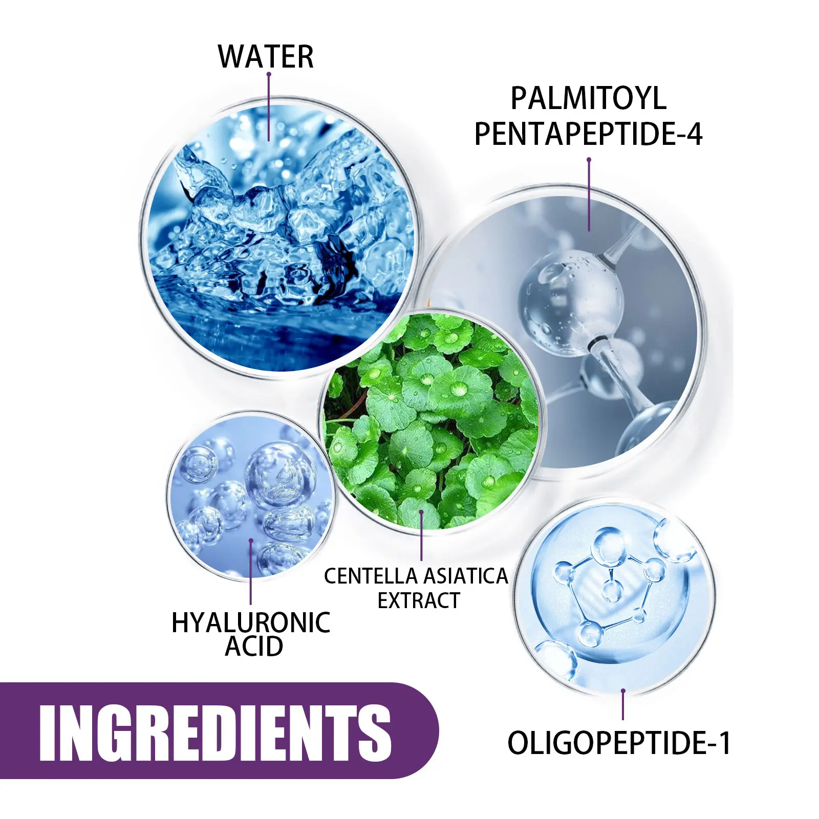 Oligopeptide-1 Complex Serum for Fine Lines & Firming - West&Month 2 oligopeptide 1 serum lighten lines moisturize firm West Month 439 6776
