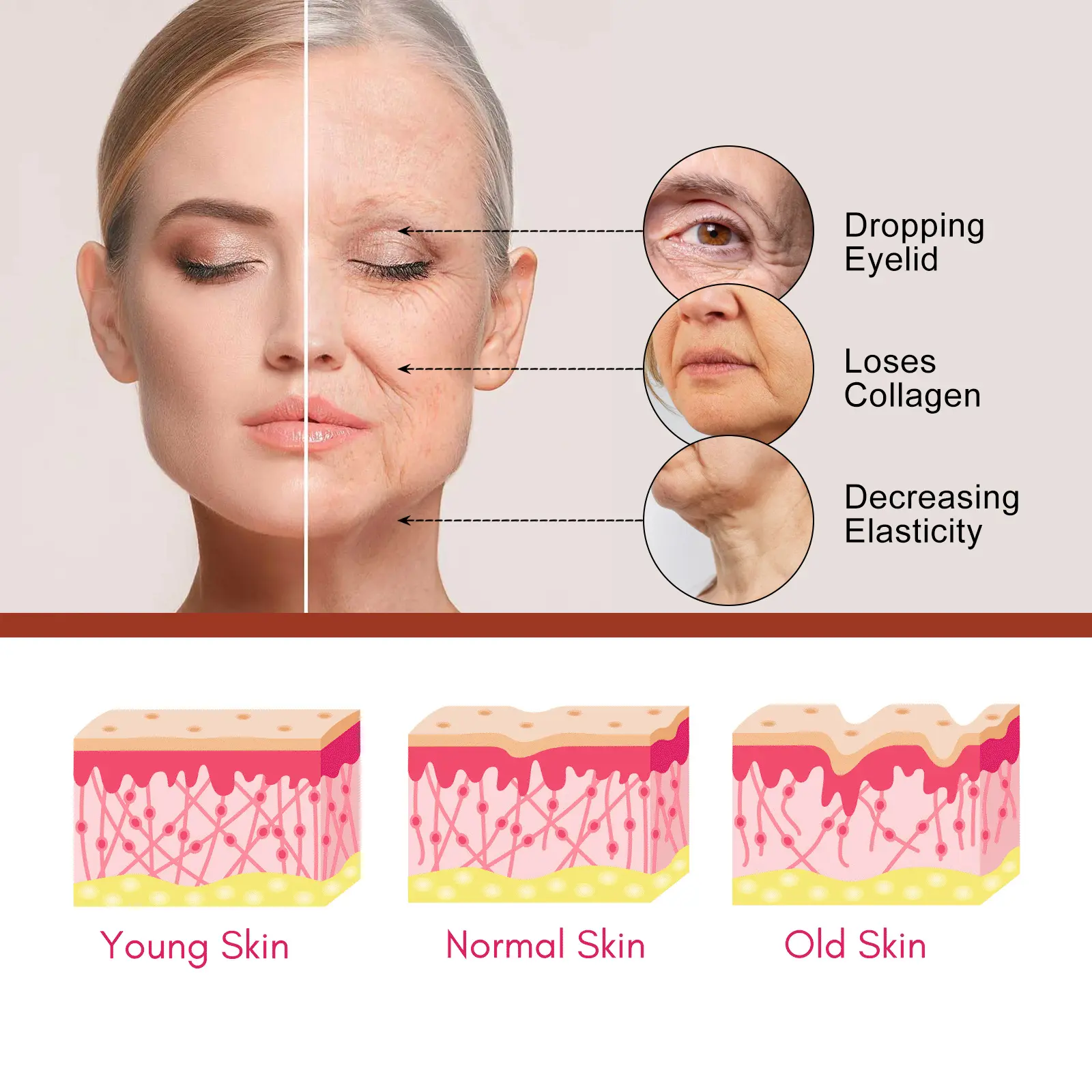 Anti-Wrinkle Serum with Palmitoyl Peptide for Firming - West&Month 5 palmitoyl peptide serum fade lines anti wrinkle West Month 043 1653