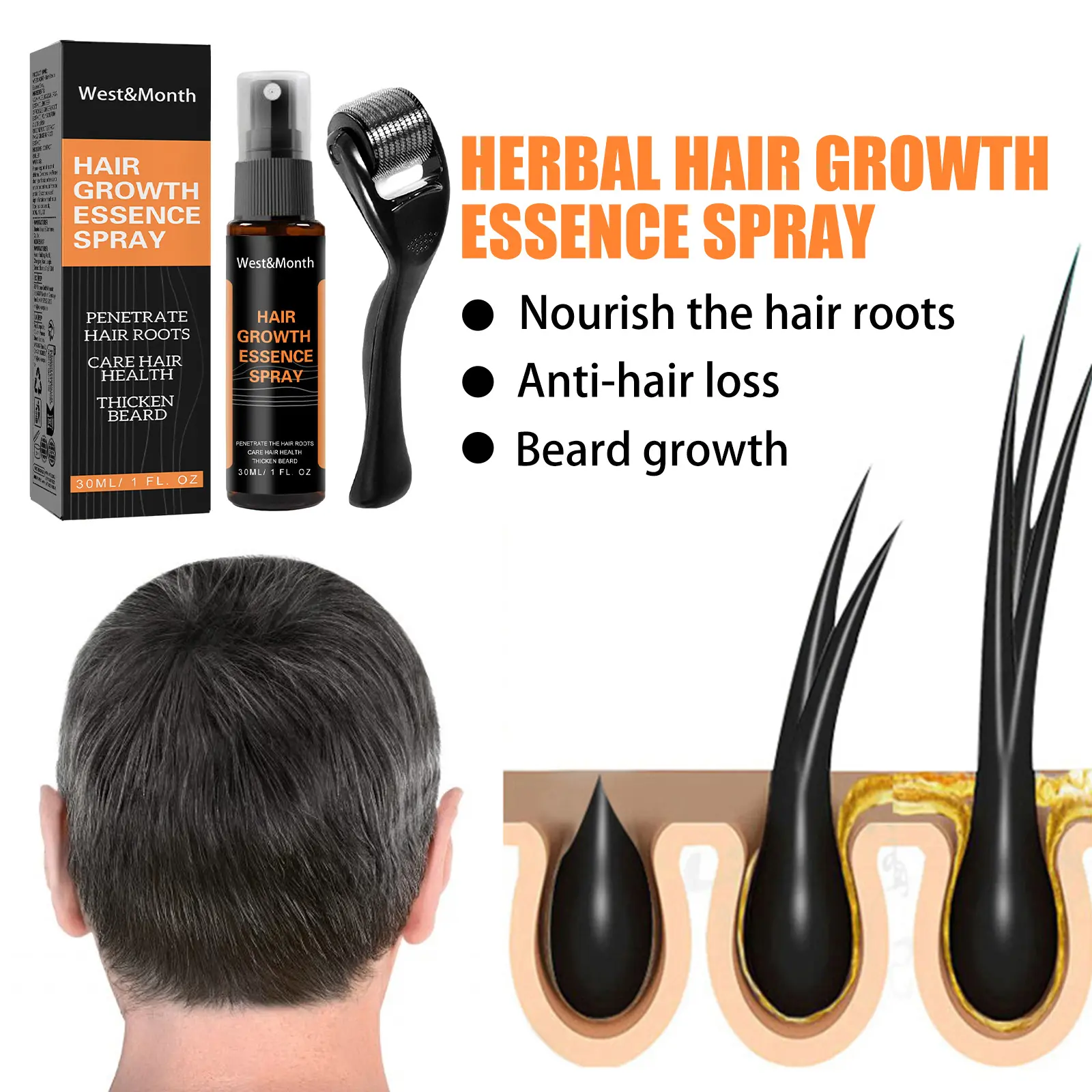 Hair Growth Spray for Thickening with Ginger & Fo-Ti - West&Month 4 polygonum multiflorum hair spray anti loss West Month 121 11399