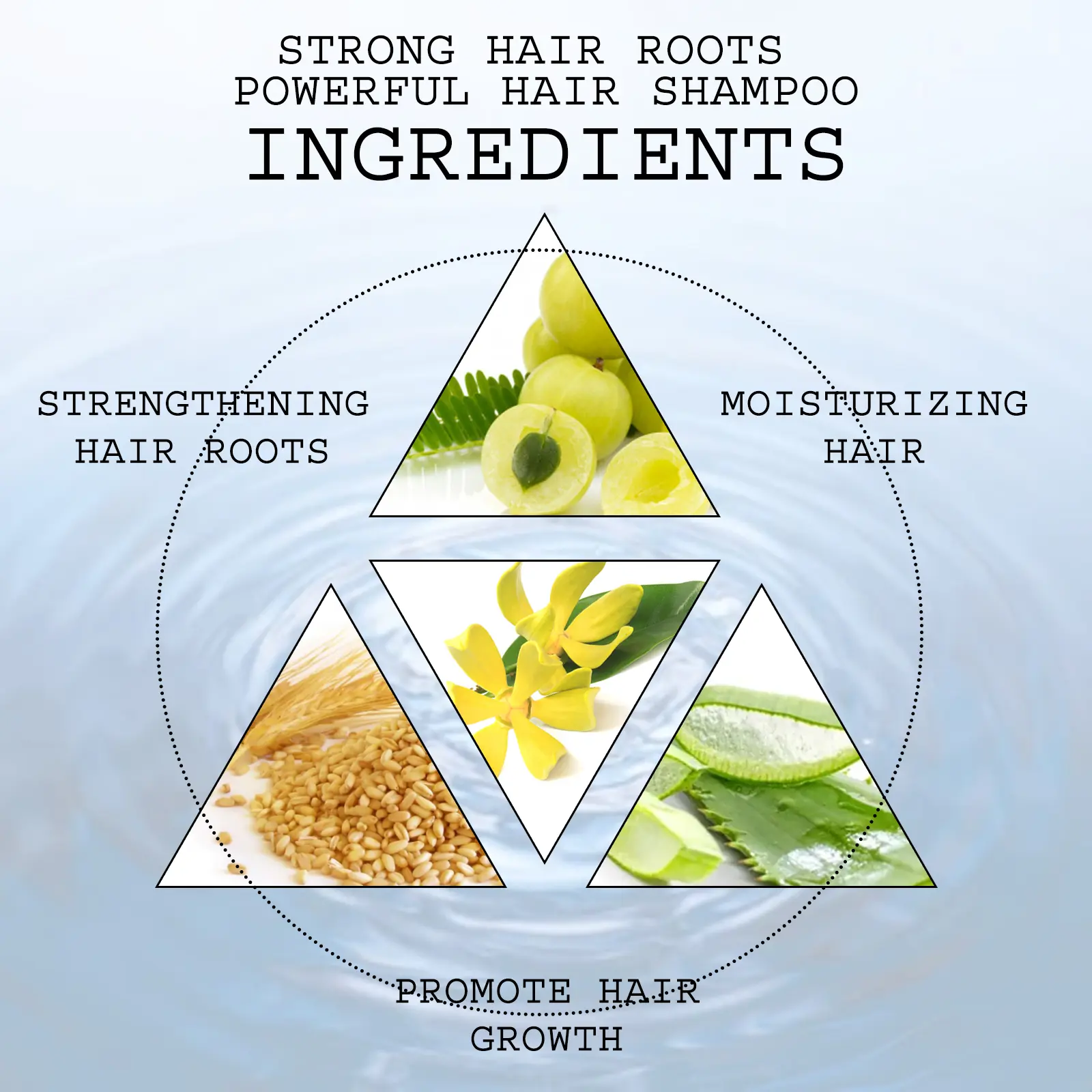Dry Hair Repair Shampoo for Strong Roots & Nourishment - West&Month 3 strong hair shampoo nourish moisturize repair West Month 393 6146